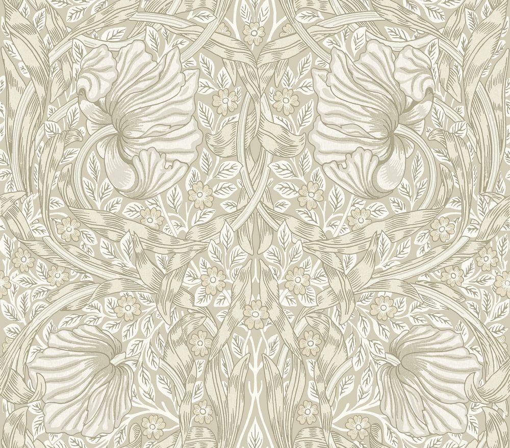 Bild von Pimpernel Flax - MOX0132-02